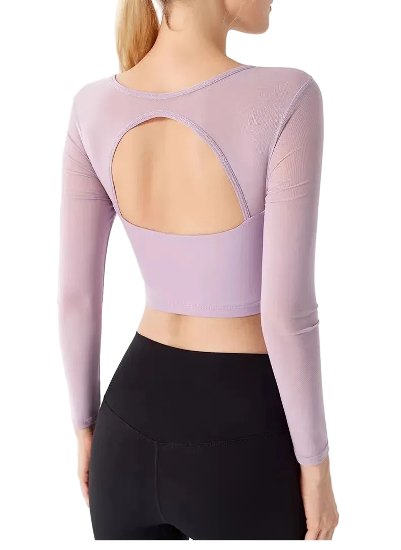 Mesh Long Sleeve Top