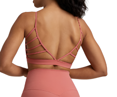 V Back Sports Bra