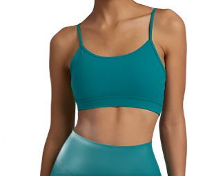 V Back Sports Bra