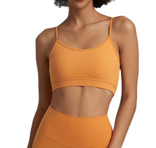 V Back Sports Bra